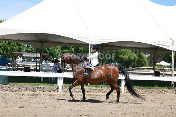 DAHA23_Sun_9137