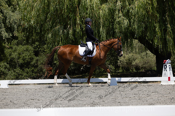 FFDressage23-00247