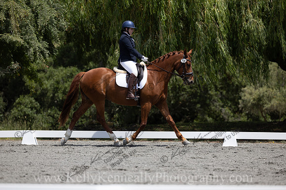 FFDressage23-00173