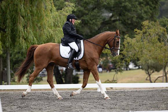 FFDressage23-1635