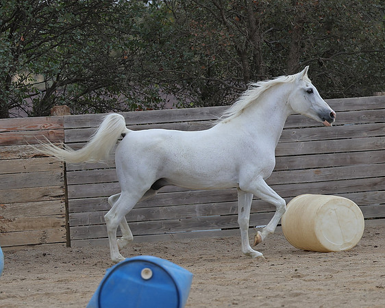 PCDonavanFall26_6511