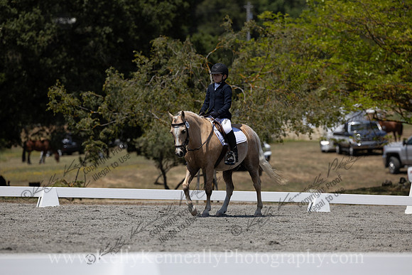 FFDressage23-00289