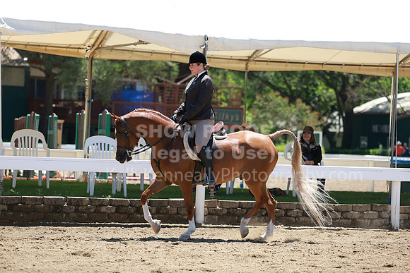 DAHA23_Fri_1337
