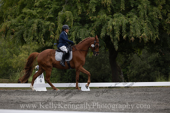 FFDressage23-1143
