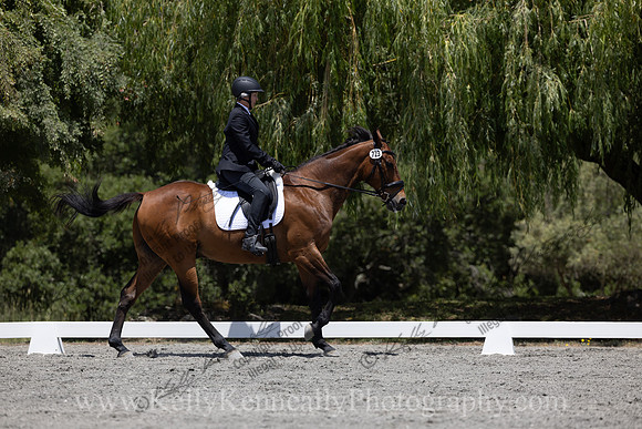 FFDressage23-3711