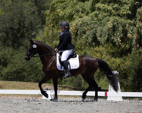 FFDressage23-00239