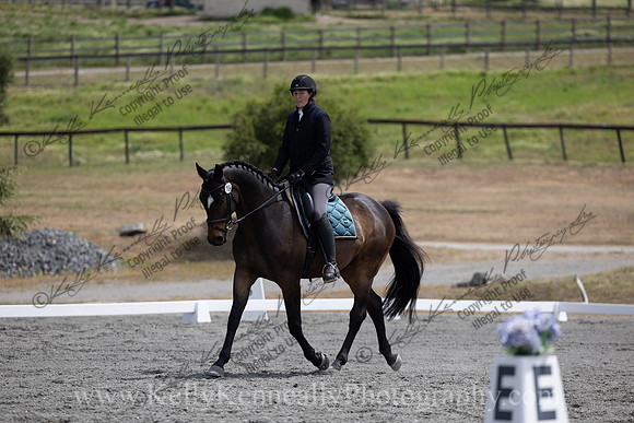 FFDressage23-2481