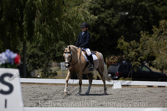 FFDressage23-00290
