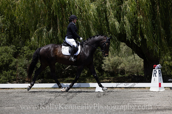 FFDressage23-3839