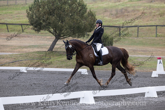 FFDressage23-00036