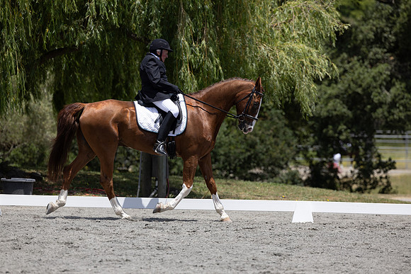 FFDressage23-3211