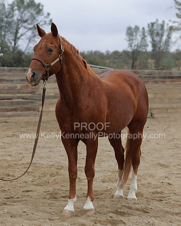 DocFall26_6102