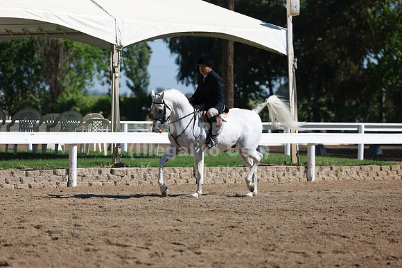 DAHA23_Fri_0289