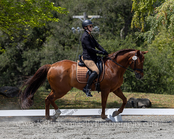 FFDressage23-4864