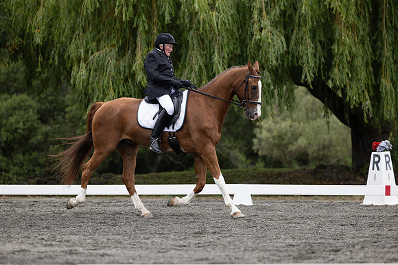 FFDressage23-1613