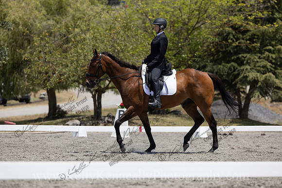 FFDressage23-3537