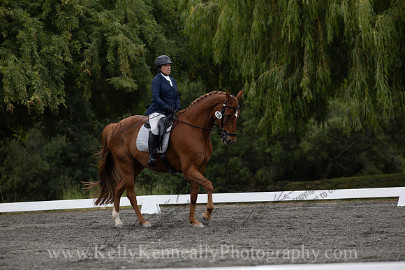 FFDressage23-1214