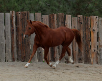 DocFall26_4975