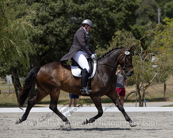 FFDressage23-6062