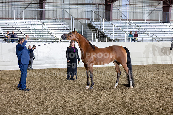 AHANC22_R5_Wed_0581