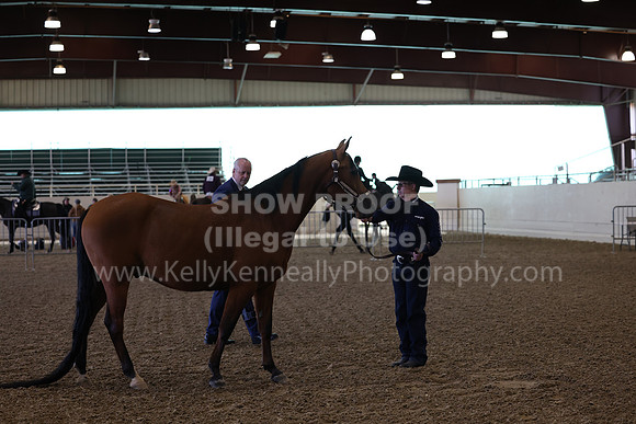 AHANC23_Wed_0022