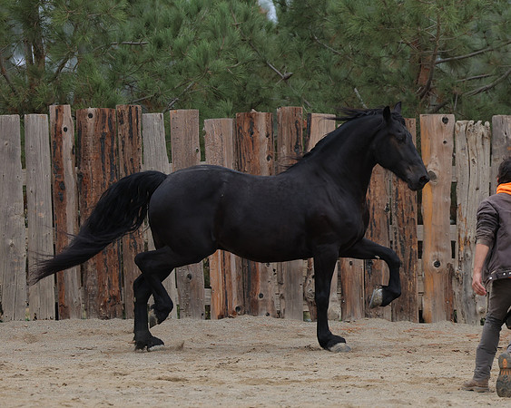 DutchFall26_2872