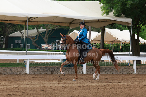 DAHA23_Sun_7416
