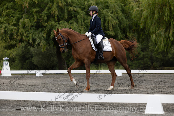 FFDressage23-0870