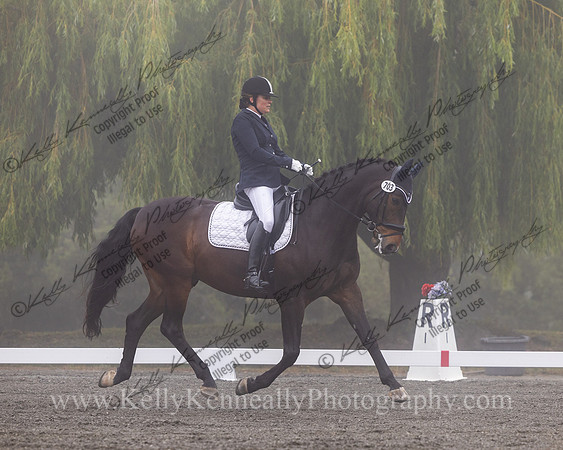 FFDressage23-0408