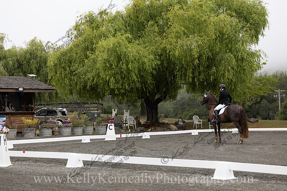FFDressage23-00039