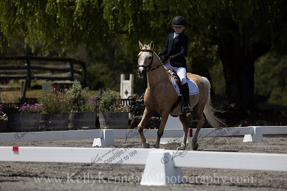 FFDressage23-00288