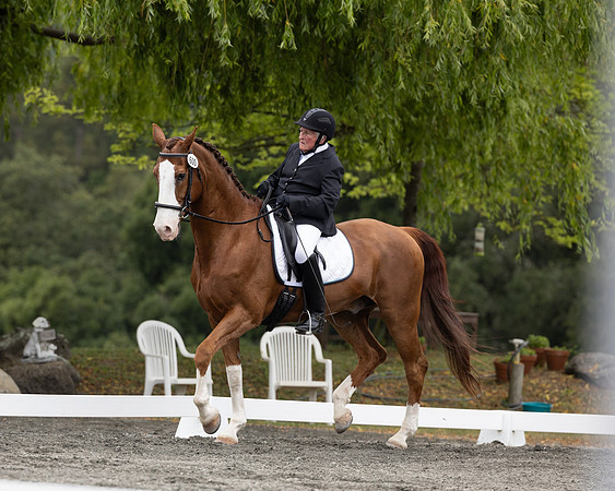 FFDressage23-1710