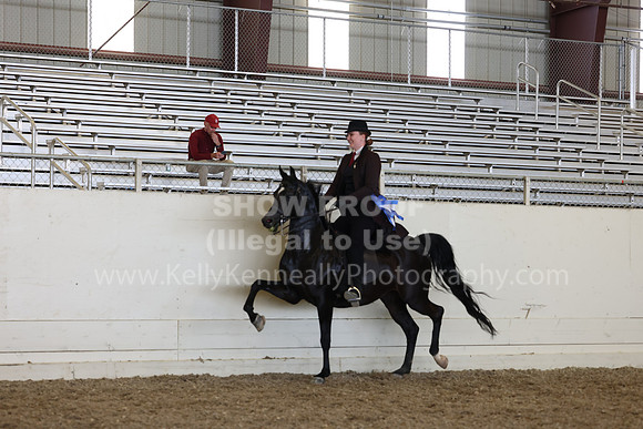 AHANC23_Thurs_2460