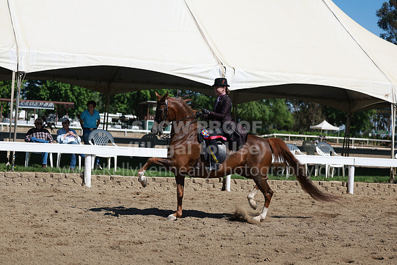 DAHA23_Sun_8719