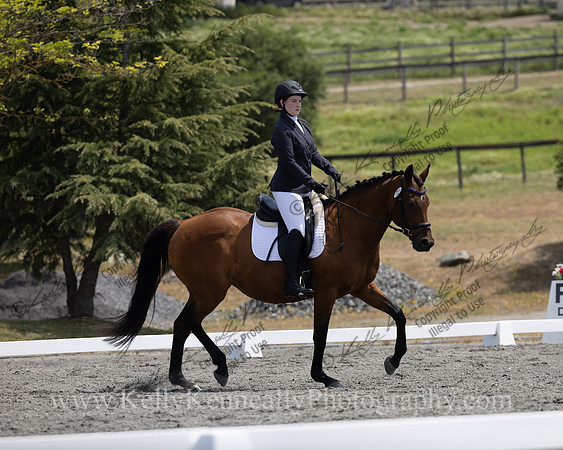FFDressage23-00162