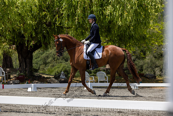 FFDressage23-3923