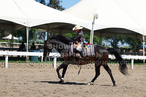 DAHA23_Sat_4526