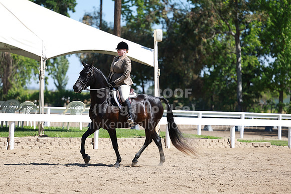 DAHA23_Fri_0615