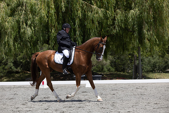 FFDressage23-3109