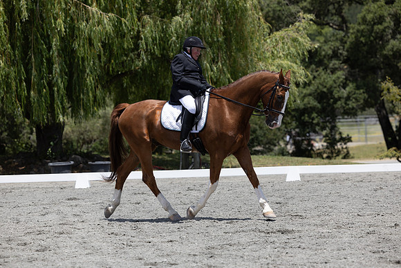 FFDressage23-3114
