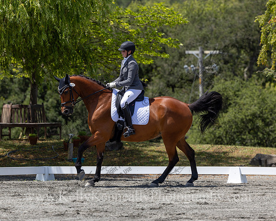 FFDressage23-4475