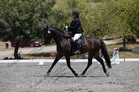 FFDressage23-00206