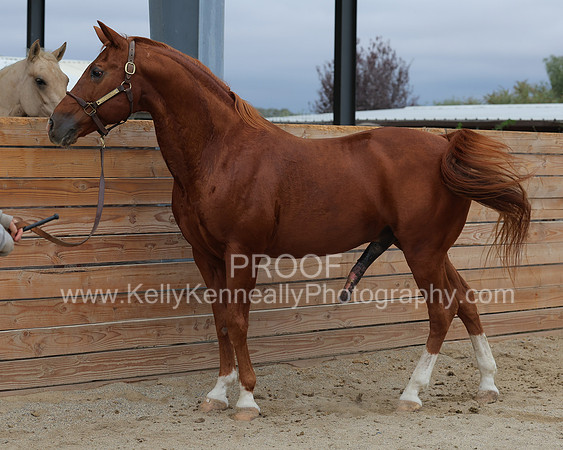 DocFall26_6206