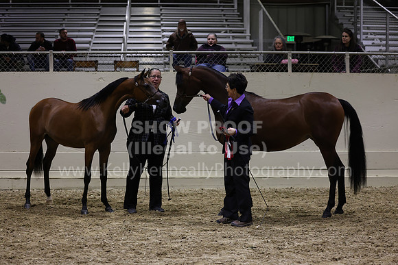 AHANC23_Wed_3032