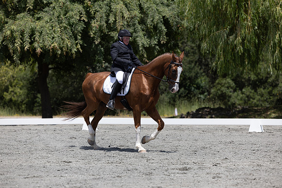FFDressage23-3080