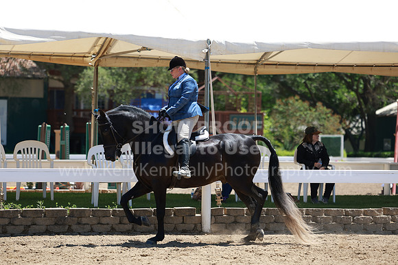 DAHA23_Fri_1529