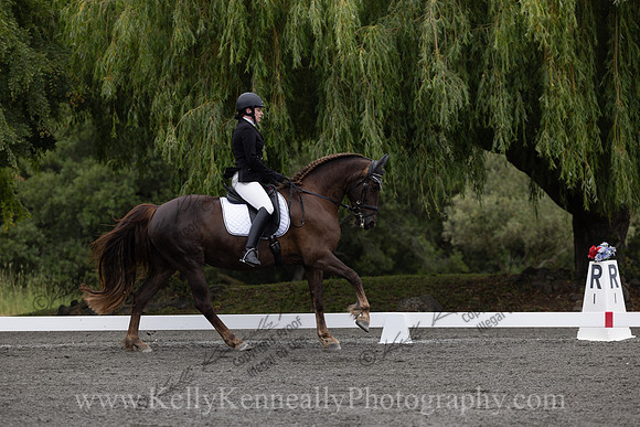 FFDressage23-00035