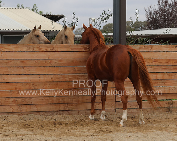 DocFall26_5521