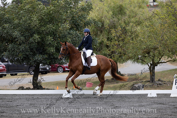 FFDressage23-00080