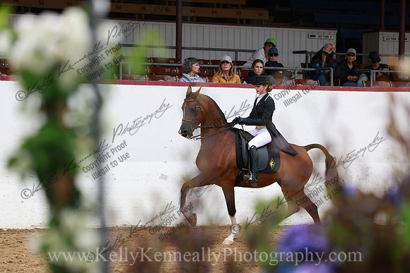 R2CH23_Thurs_6596